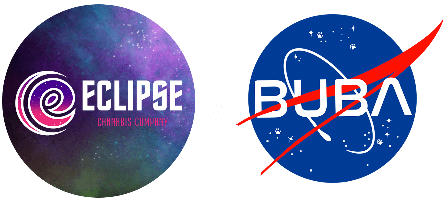 Vendors EclipseXBubbas